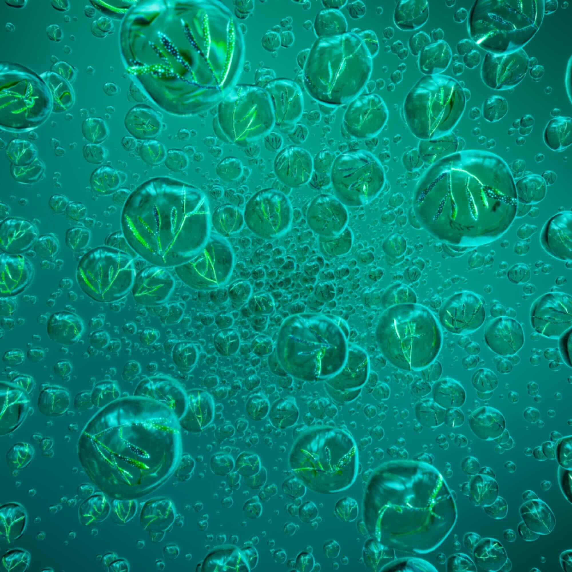 Powercell Skinmunity Serum Jeugdversterkend